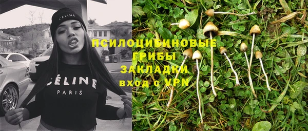 прущие грибы Богородск