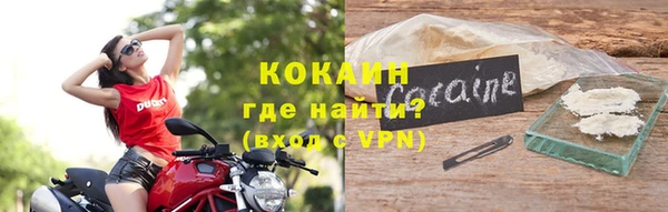 прущие грибы Богородск