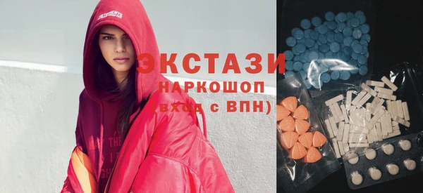 крисы Богородицк