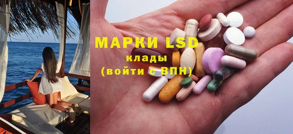 крисы Богородицк