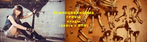 мяу мяу кристалл Богданович