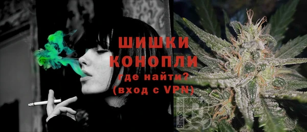 крисы Богородицк